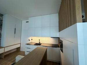 Kuchyňa alebo kuchynka v ubytovaní Apartment VAŇKOVKA