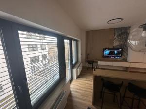 Televízia a/alebo spoločenská miestnosť v ubytovaní Apartment VAŇKOVKA