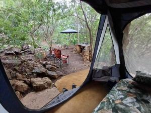 Zahrada ubytování Adorable unique guest house - African bush feel