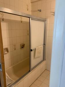 a shower with a glass door in a bathroom at Departamento frente al mar tres dormitorios in Mar del Plata