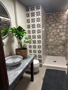 a bathroom with a toilet and a plant on a counter at Wood & Stone Guesthouse in Khrisovítsion