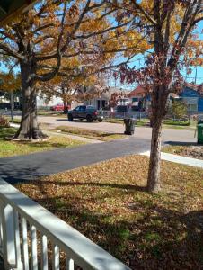 a white fence next to a tree and a street at Angies in the Heights in Houston