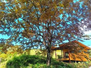 Zahrada ubytování Thoas Lodge