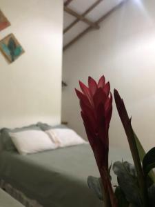a red flower in a vase next to a bed at CASA MEDNA in Trancoso