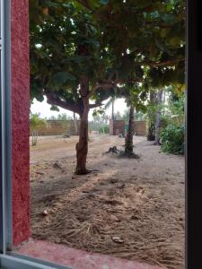 Φωτογραφία από το άλμπουμ του Red Villa on Lionsrest 