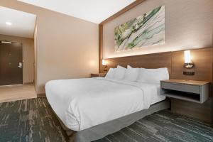 Postel nebo postele na pokoji v ubytování Best Western Plus Grand Rapids MN
