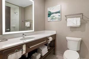 Koupelna v ubytování Best Western Plus Grand Rapids MN