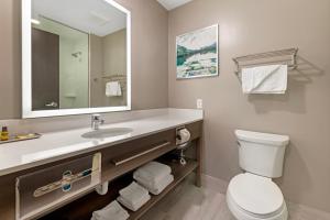 Koupelna v ubytování Best Western Plus Grand Rapids MN