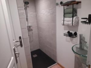 een badkamer met een douche en een glazen wastafel bij La petite maison studiot in Pornic +7 foto's