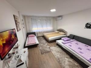 Sjónvarps- og/eða afþreyingartæki á Apartman Panda Priboj