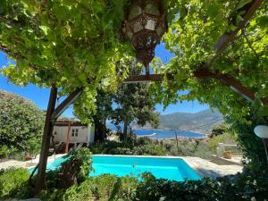 ein Blick auf einen Swimmingpool durch Bäume in der Unterkunft Romantic Lemonia Cottage in Skopelos