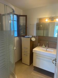 un baño con lavabo y ducha en Chambre villa Soleil, en Roquebrune-sur-Argens
