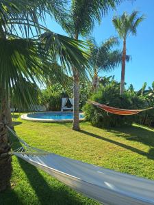 a hammock in a park with palm trees at Finca el Abuelo Manuel in Vejer de la Frontera