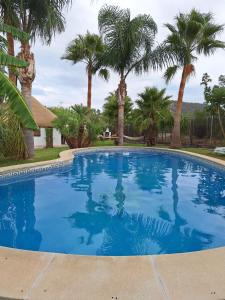 a swimming pool with palm trees in the background at Finca el Abuelo Manuel in Vejer de la Frontera