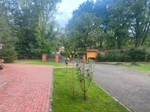 a plant in the grass next to a brick road at Pension zum Zenshaus kleine Auszeit in Lychen