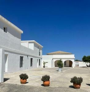 Un edificio blanco con plantas en macetas delante. en Apartamentos Muñoz Fornell 4, en Chiclana de la Frontera