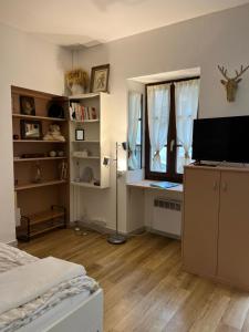 a bedroom with a bed and a television and a window at Studio indépdt centre ville 300m du lac d’Annecy in Veyrier-du-Lac