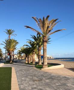 a row of palm trees on a sidewalk near the beach at Apartamento La Marina Azul el Puerto de Lo Pagan in San Pedro del Pinatar