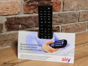 a hand holding a remote control on a box at Hotel Schwarzenberg in Glottertal