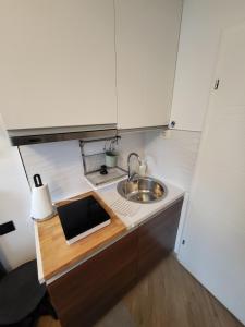 Kuchyň nebo kuchyňský kout v ubytování Blue Star Apartments