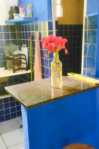 a vase with red flowers in it on a counter at Eco chalés 1 e 2 in Cabo de Santo Agostinho