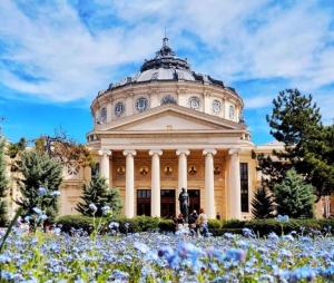 a building in front of a field of flowers at Studio Piata Amzei in Bucharest