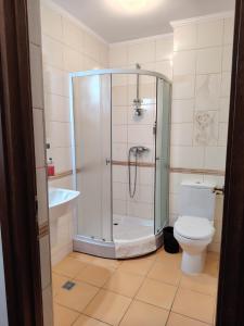 a bathroom with a shower and a toilet and a sink at Hotel Transilvania Zalău in Zalău