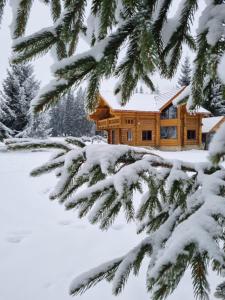 a log cabin in the snow at Cabana dintre brazi Mărișel in Dealu Negru