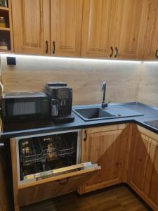 Kuchyň nebo kuchyňský kout v ubytování Cabana dintre brazi Mărișel