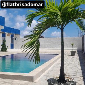 a palm tree in a pot next to a swimming pool at FLAT BRISA do MAR in Pitimbu
