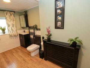 a bathroom with a toilet and a sink at Bonnie's Retreat in Amble +36 photos
