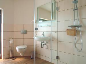 ein Badezimmer mit einem WC, einem Waschbecken und einem Spiegel in der Unterkunft FerienRemise in Brandenburg an der Havel
