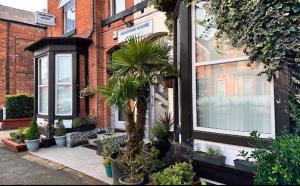 Zahrada ubytování Hendham House