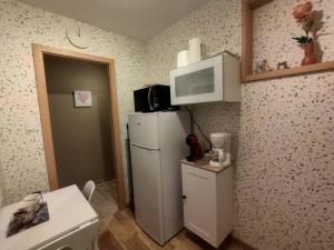 a small kitchen with a refrigerator and a microwave at L'Espérance in Plombières-les-Bains
