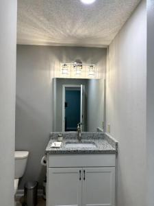 a bathroom with a sink and a toilet at The Wooded Grand High Point in High Point