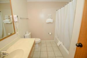 Un baño con lavabo, inodoro y ducha. en Westgate Inn, en Coudersport