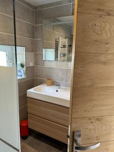 une salle de bain avec un lavabo et un miroir dans l'établissement cottage Philippe et Valérie, à Silli-en-Gouffern 8 autres photos