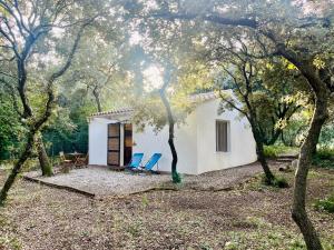 un piccolo cottage bianco in una foresta con due sedie blu di Domaine Colibri en Provence a Pujaut