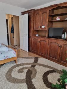 ein Wohnzimmer mit einem großen Unterhaltungszentrum aus Holz in der Unterkunft Garsoniera Emilia in Câmpulung Moldovenesc