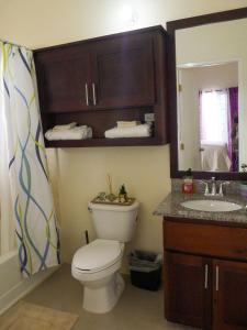 a bathroom with a toilet and a sink and a mirror at 2 BDR House near Martha Brae River rafting in Falmouth