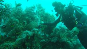 入住Ocean View Tulamben Dive & Resort的客人