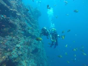 入住Ocean View Tulamben Dive & Resort的客人