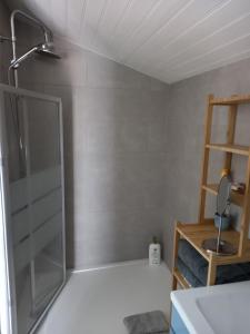 a shower with a glass door in a bathroom at Ty'Château Carignan de Bordeaux B&B in Carignan