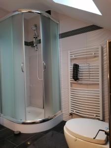 Ένα μπάνιο στο Apartment an der Schweizer Grenze +53 φωτογραφίες