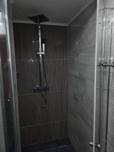a shower with a shower head in a bathroom at Ferienhaus Harmonie Kulmbach Zentrum in Kulmbach