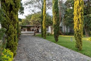 Taman di luar Chalet Irene