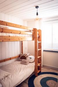 a bedroom with a bunk bed with a ladder at F I E R Huisje in Eersel +11 photos