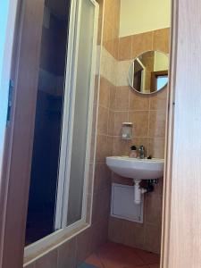 un bagno con lavandino e specchio di 1st May Plaza a Bratislava Altre 21 foto