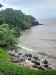 a beach with rocks in the water and trees at Paraíso de Deus in Colares +14 photos