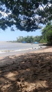 a view of the beach from under a tree at Paraíso de Deus in Colares